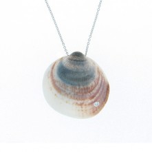 Cote D'Azur: Medium, Gray Shell