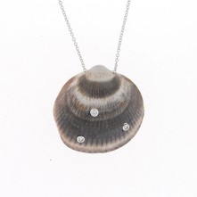 Manaco: Medium, Gray Shell